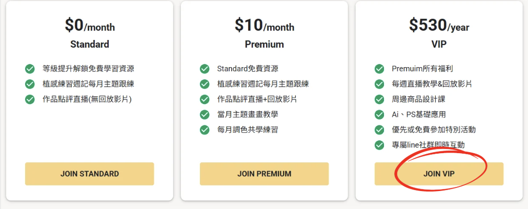Standard / Premium / VIP 三種方案比較